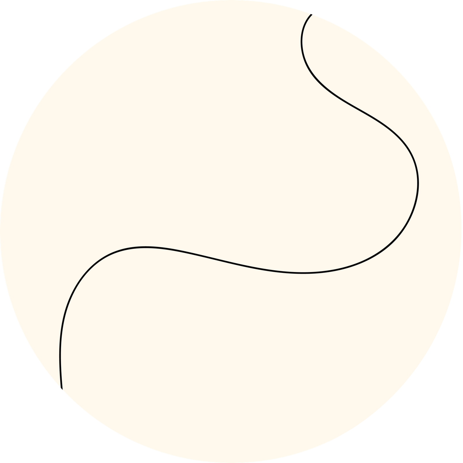 linea galerie